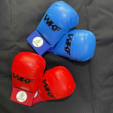 Găng Karate | Găng Tập Luyện Và Thi Đấu môn Karate