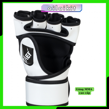 Găng MMA Cao Cấp Hàng Nhập - Đấm Boxing, Mixed Martial Arts - Ailaikit