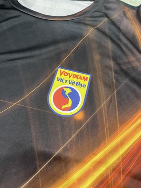 ÁO THUN VOVINAM MẪU ĐẶC BIỆT - Áo thun thể thao, tập gym, chạy bộ, - - Ailaikit