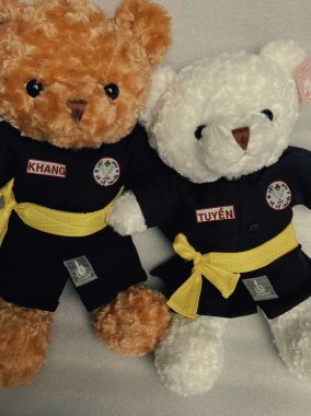 Gấu Bông Võ Cổ truyền Mặc Võ Phục 50cm Đồ Lưu Niệm Võ Thuật Sinh Nhật siêu cute có - Ailaikit